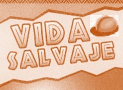 vida salvaje industrial